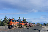 Click Here to see the photo!