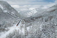 Click Here to see the photo!