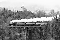 Click Here to see the photo!