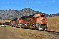 Click Here to see the photo!