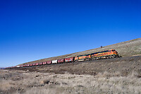 Click Here to see the photo!