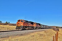 Click Here to see the photo!