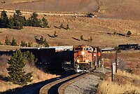 Click Here to see the photo!