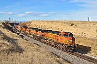 Click Here to see the photo!