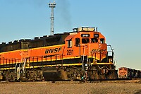 Click Here to see the photo!