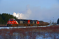 Click Here to see the photo!