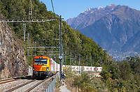 Click Here to see the photo!