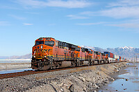 Click Here to see the photo!