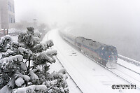 Click Here to see the photo!