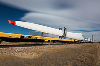 Click Here to see the photo!