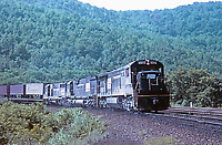 Click Here to see the photo!