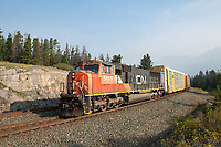 Click Here to see the photo!