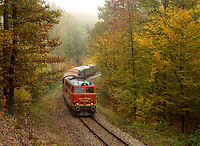 Click Here to see the photo!