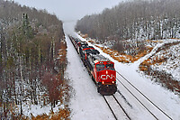 Click Here to see the photo!