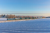 Click Here to see the photo!