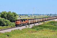 Click Here to see the photo!