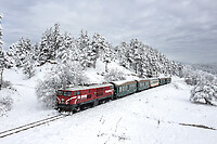 Click Here to see the photo!