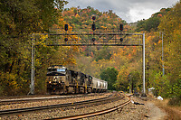 Click Here to see the photo!