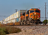 Click Here to see the photo!