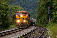 Click Here to see the photo!