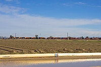 Click Here to see the photo!