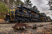 Click Here to see the photo!