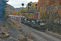 Click Here to see the photo!