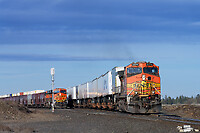 Click Here to see the photo!