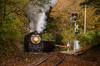 Current Screeners Choice Photo 1