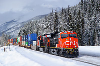 Click Here to see the photo!