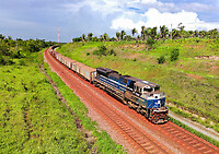 Click Here to see the photo!