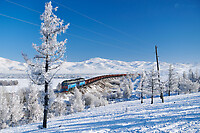 Click Here to see the photo!