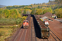 Click Here to see the photo!