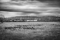 Click Here to see the photo!