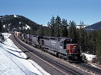 Click Here to see the photo!