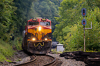 Click Here to see the photo!