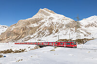 Click Here to see the photo!