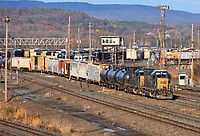 Click Here to see the photo!