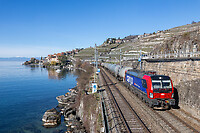 Click Here to see the photo!