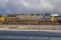 Click Here to see the photo!