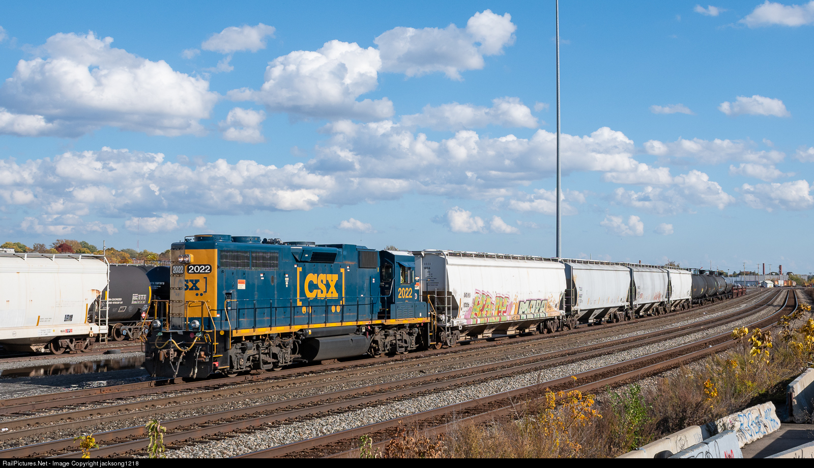 7411.1605204418.jpg