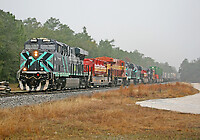 Click Here to see the photo!