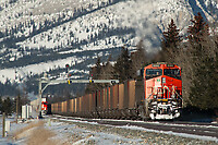 Click Here to see the photo!