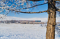 Click Here to see the photo!