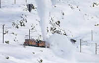 Click Here to see the photo!