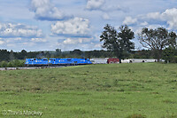 Click Here to see the photo!