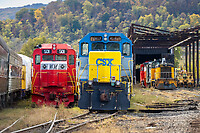 Click Here to see the photo!