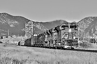 Click Here to see the photo!