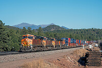 Click Here to see the photo!