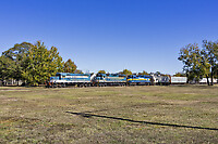 Click Here to see the photo!